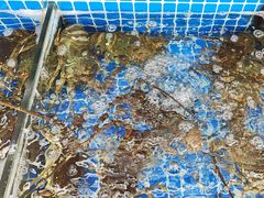 -红月湾海鲜饭店•沙滩海景(双月湾店)
