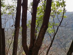 -东山风景区(洞庭东山)
