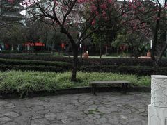 -铁山坪森林公园