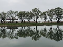 -苏州太湖湖滨国家湿地公园