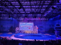 -华夏文旅海洋公园