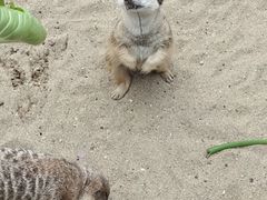 -长鹿旅游休博园