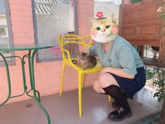 -喵屿·大理花园猫咖