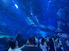 -成都浩海立方海洋公园