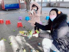 -1982农场