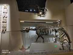 -国家自然博物馆