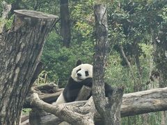 -武汉动物园