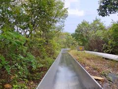 -富斯特索道