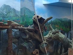 -武汉动物园