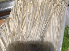 -草原塞蛮羊火锅城(港湾店)