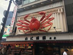 -蟹道乐(道顿堀本店)