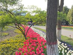 -石家庄市植物园