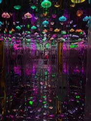 -疯狂冒险家-亲子密室-东坝店(金隅嘉品店)