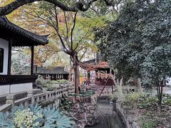 -上海醉白池公园