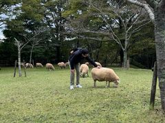 -神户市立六甲山牧场