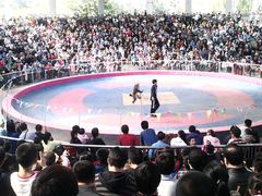 android_upload_pic-石家庄市动物园