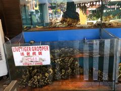 -真浪花园海鲜餐馆