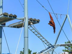 -西霞口神雕山野生动物世界