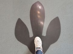 -安徽省地质博物馆