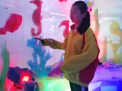 -世界之窗阿尔卑斯冰雪世界