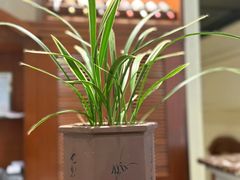-金河半岛园林酒家(金融城店)