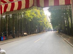 -日照海滨国家森林公园