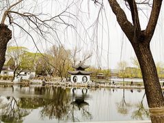 -陶然亭公园