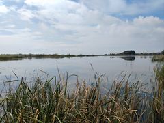 -苏州太湖湖滨国家湿地公园