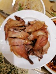 -青岛李沧绿城喜来登酒店·宴会厅