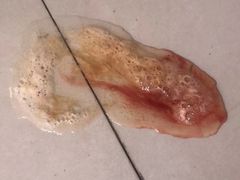 -喜多萌中农锦绣动物医院24H·猫科·牙科MRI·CT
