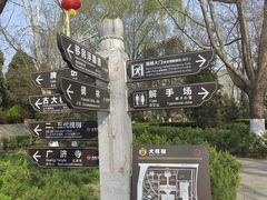 -大槐树寻根祭祖园