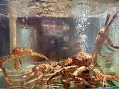 -1718海鲜姿造(苏宁宴请臻选店)