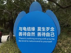 -广东惠东海龟国家级自然保护区