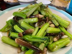 -大福都