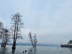 -大理洱海