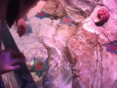 -沈阳海洋探索中心