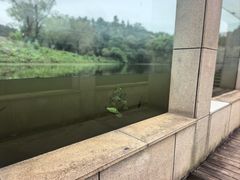 -鄱阳湖国家湿地公园