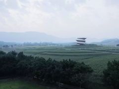-光明小镇欢乐田园