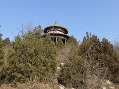 -府君山公园