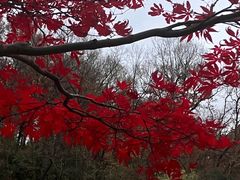 -WeLope紫金山探险公园