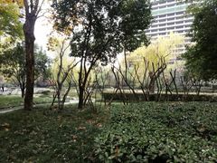 -木塔寺遗址生态公园
