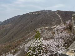 -慕田峪长城