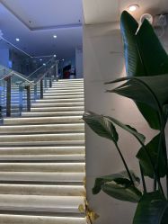 点击看大图 -石家庄苏亚美联臣医疗美容医院