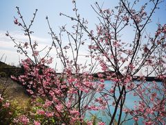 -东部华侨城