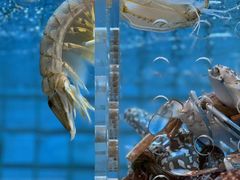 -协成海鲜火锅(情侣路店)