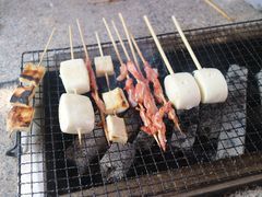 -吴淞炮台湾湿地森林公园烧烤区