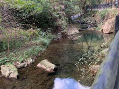 -宁波五龙潭景区