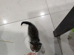 -东北饺子馆(广瑞路店)