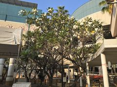 -尚泰清迈机场购物中心