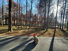 -中国湿地博物馆
